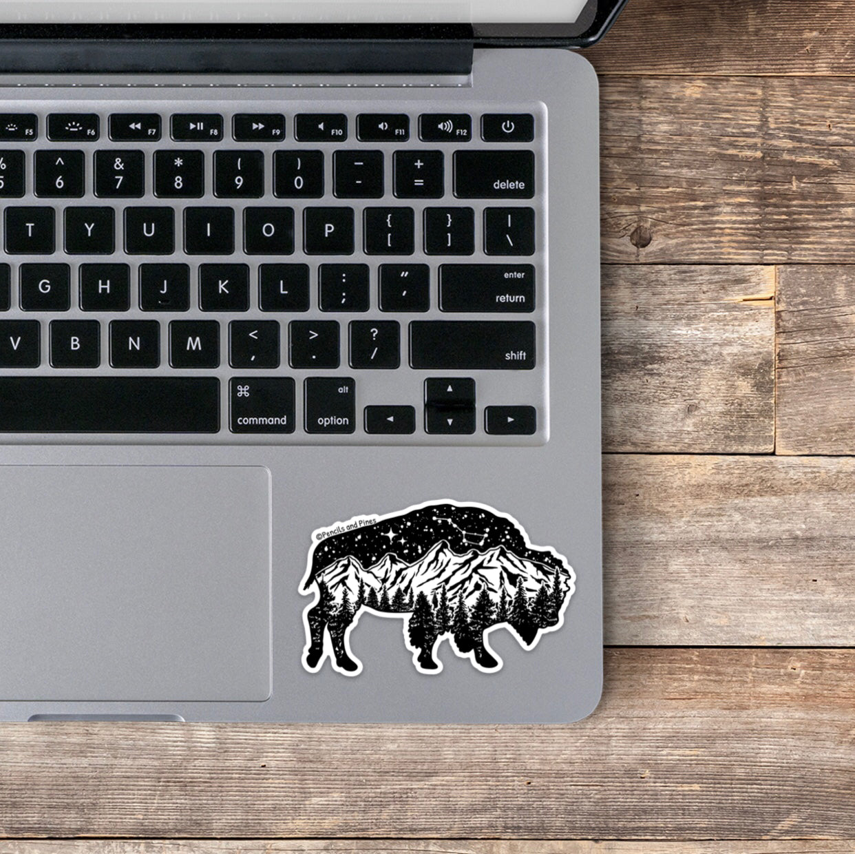 Wild Bison Sticker