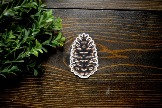 Pinecone Sticker