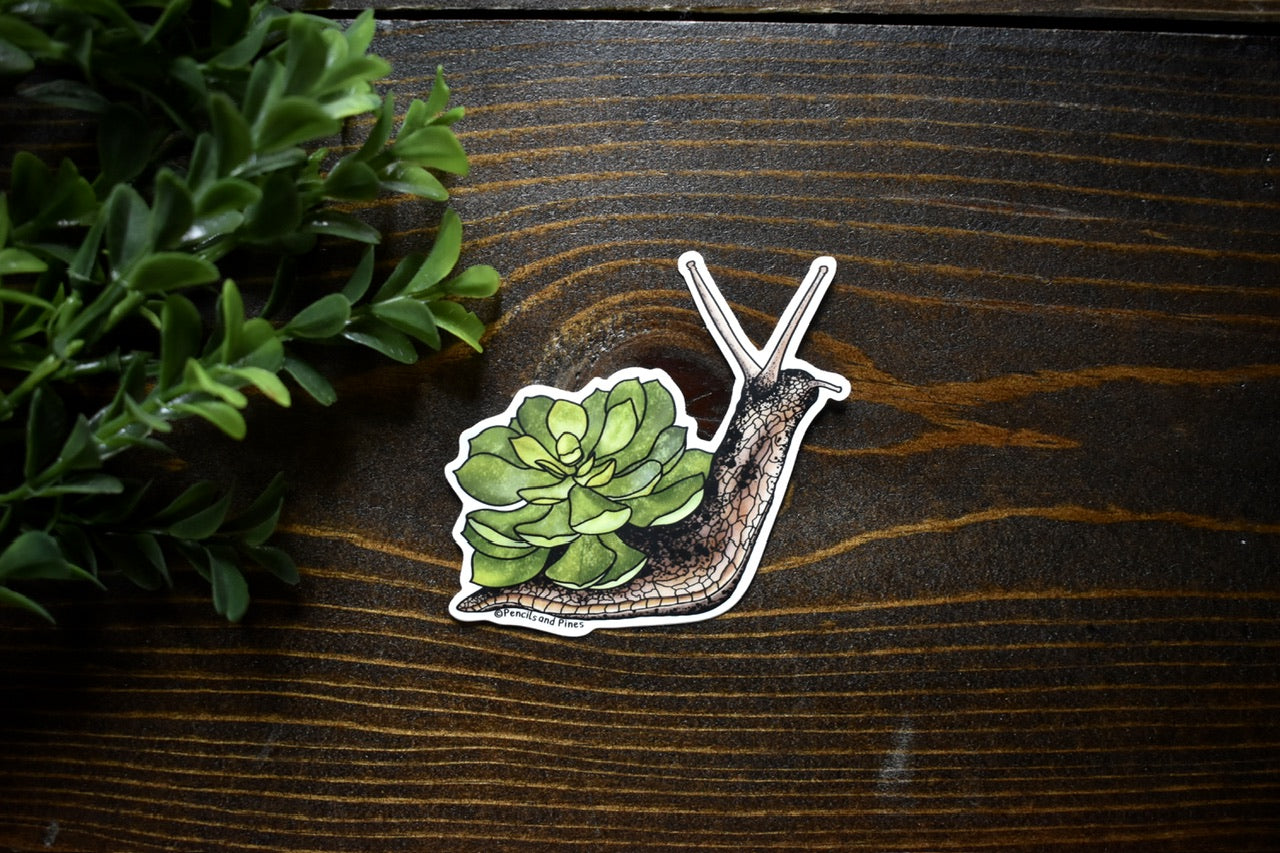 Succulent Snail Sticker