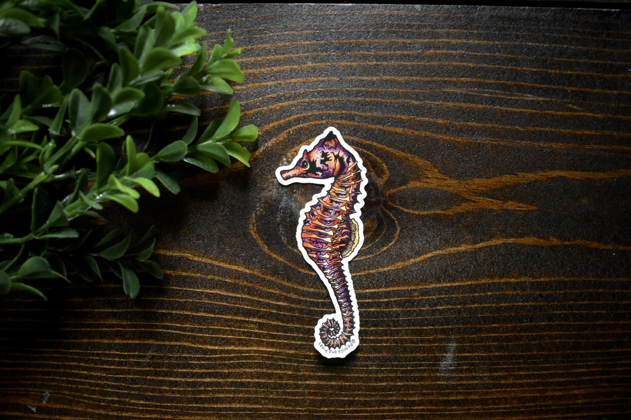 Seahorse Sticker