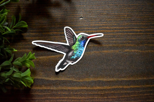 Broad-Billed Hummingbird Sticker