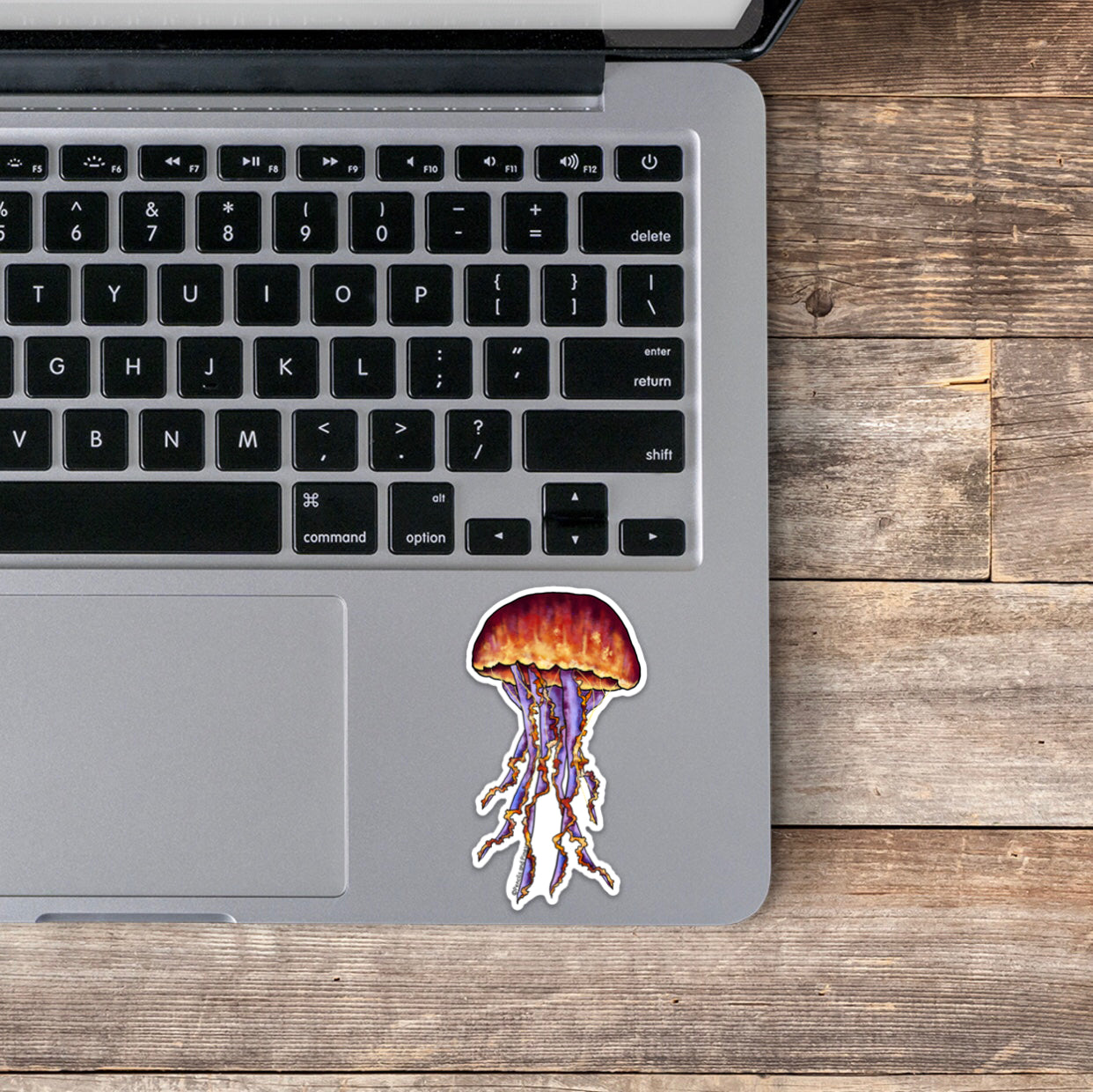 Jelly Fish Sticker