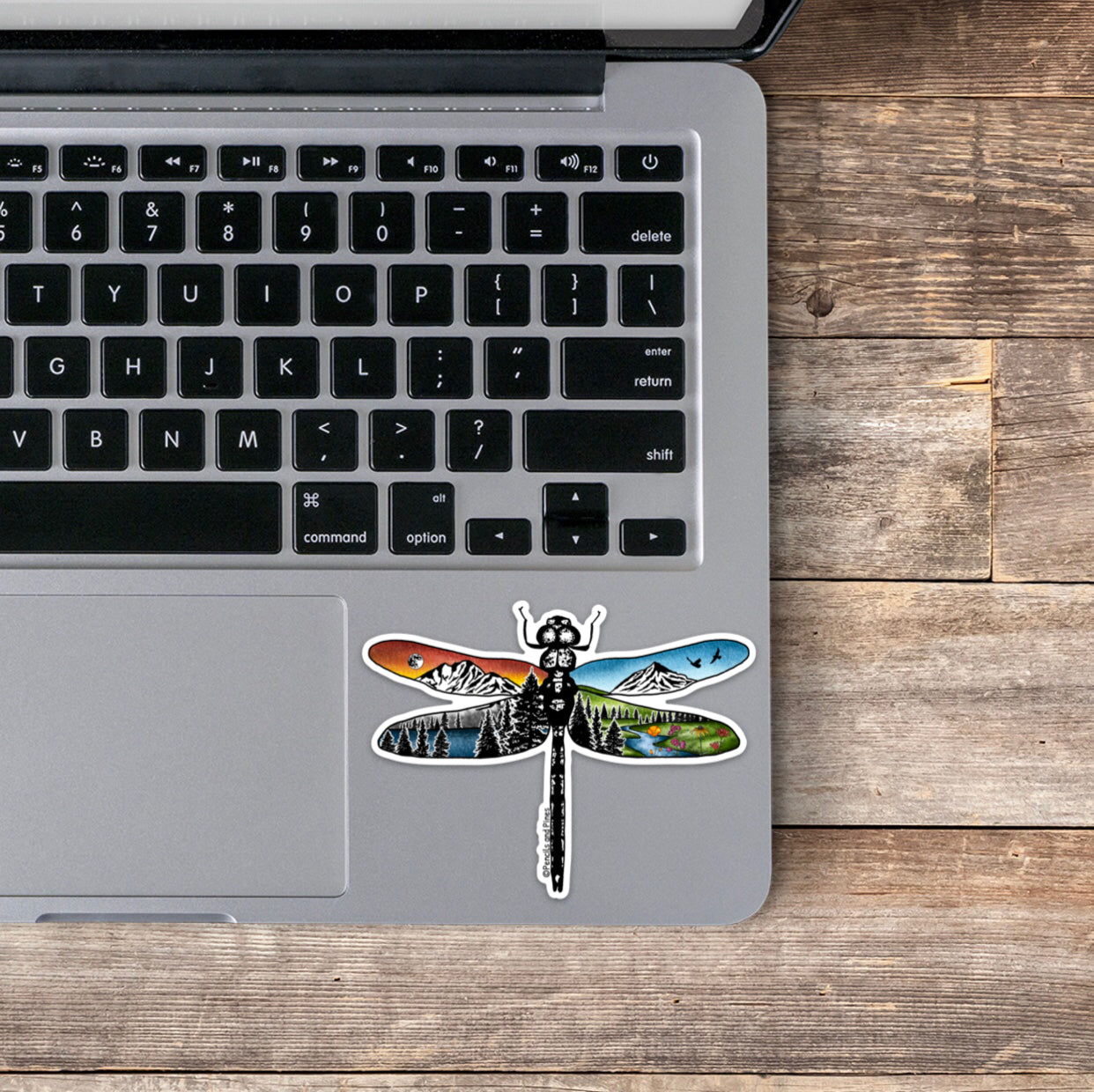 Dragonfly Sticker