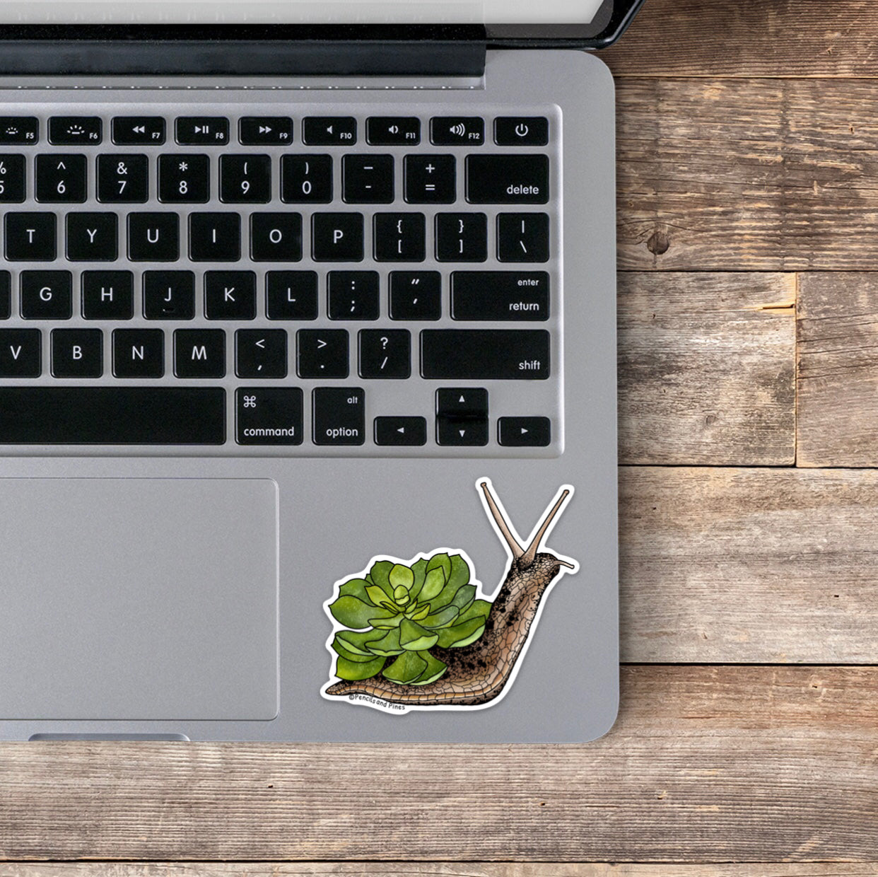 Succulent Snail Sticker