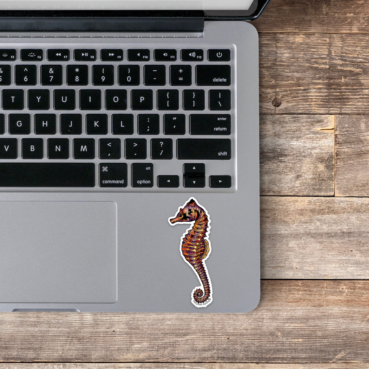 Seahorse Sticker