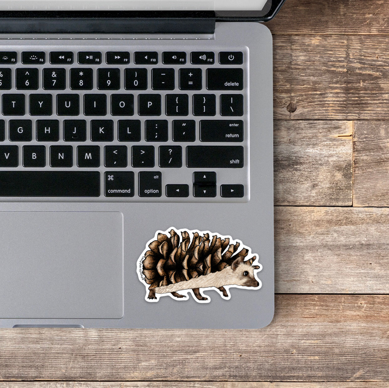 Pinecone Hedgehog Sticker