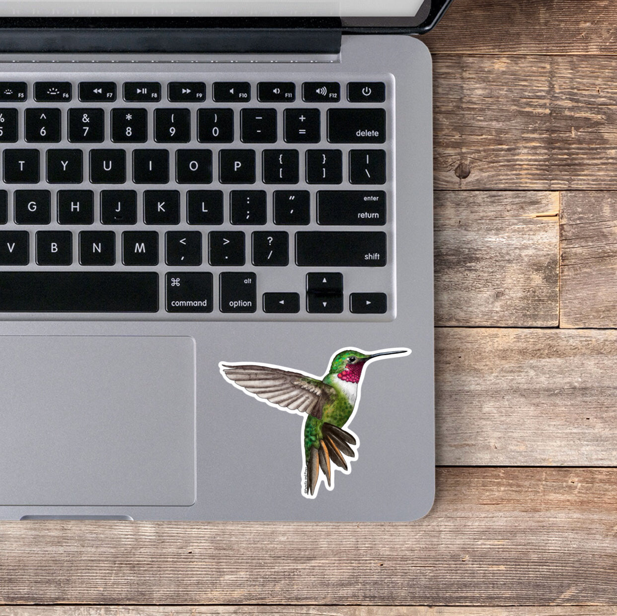 Broad-Tailed Hummingbird Sticker