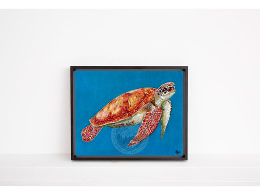 Sea Turtle - Open Edition Print