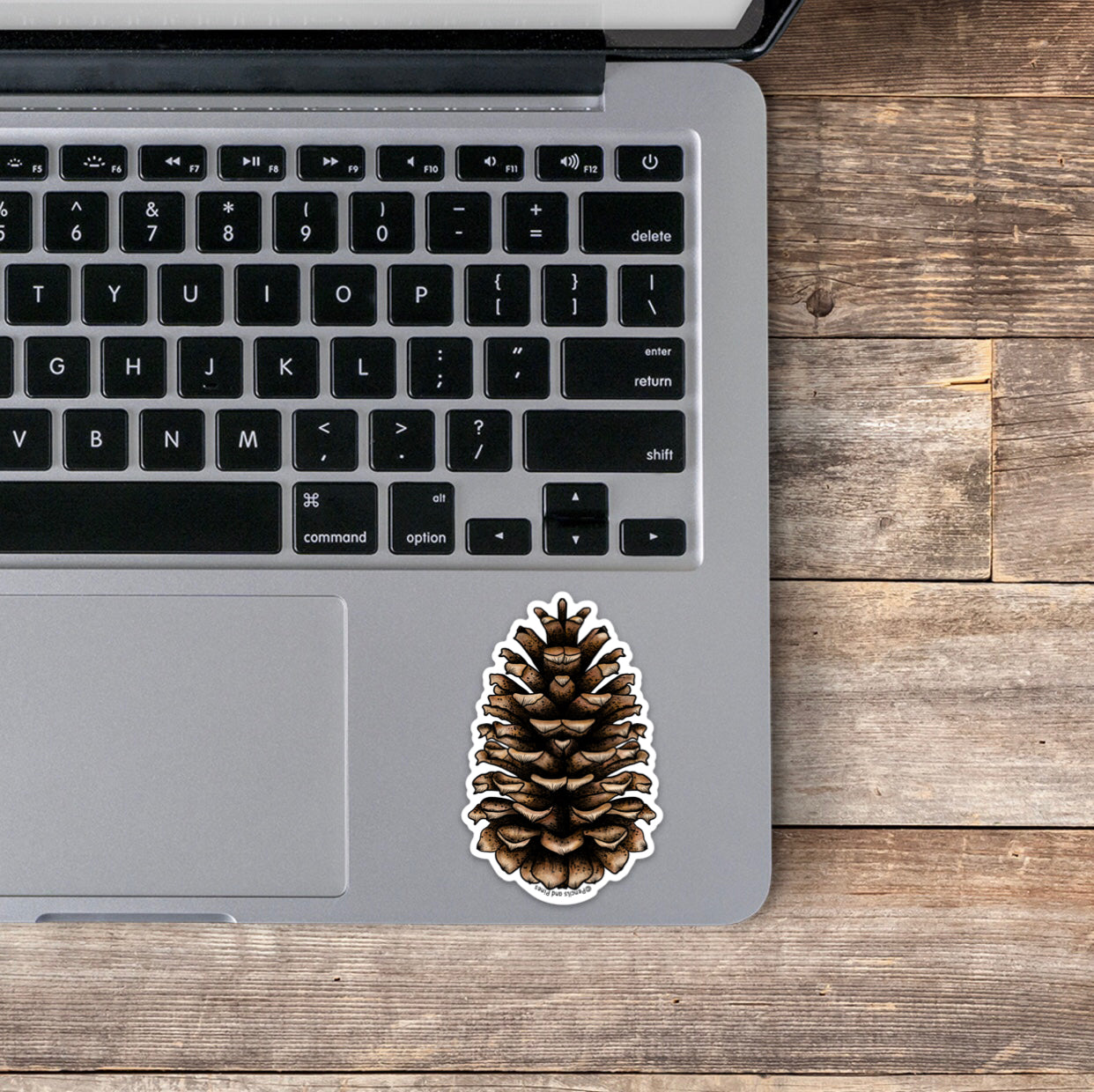 Pinecone Sticker