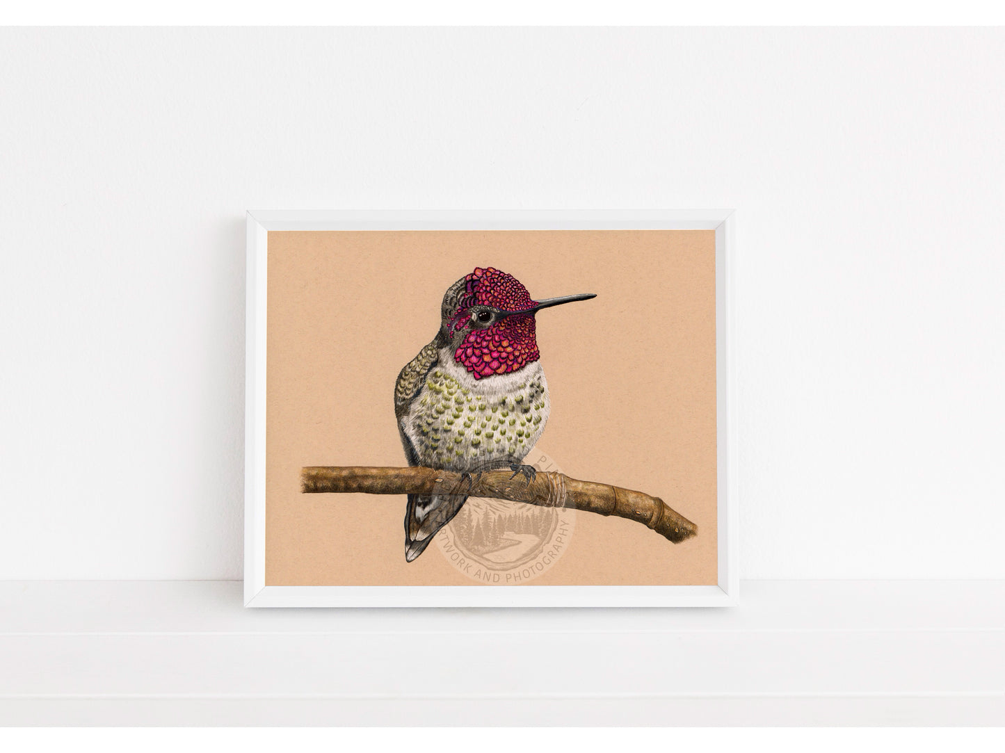 Anna’s Hummingbird - Limited Edition Print