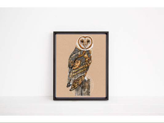 Barn Owl - Limited Edition Print