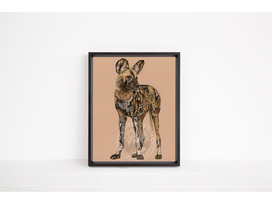 African Wild Dog - Open Edition Print