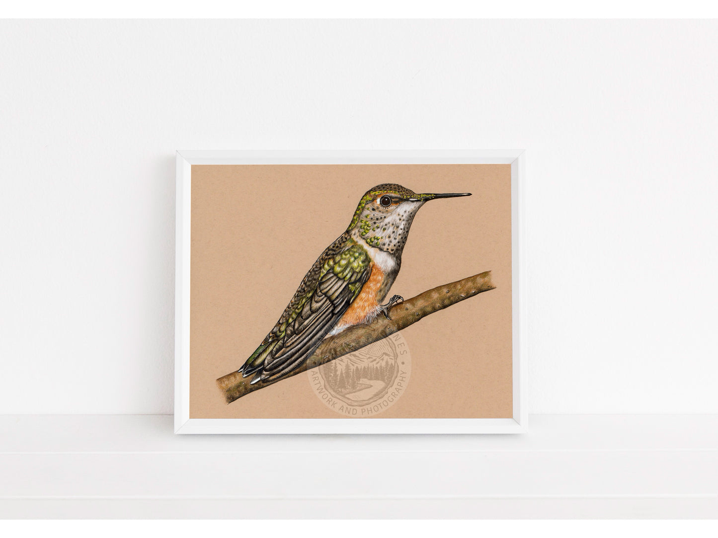 Rufous Hummingbird - Limited Edition Print