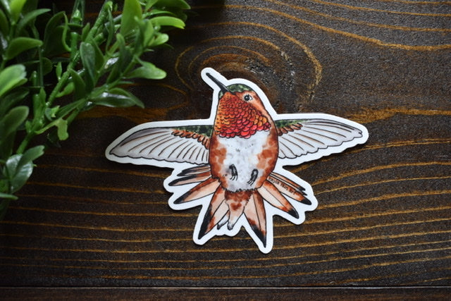 Allen’s Hummingbird Sticker