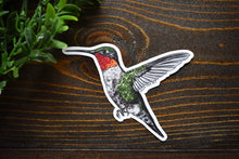 Load image into Gallery viewer, Ruby-Throated Hummingbird Sticker
