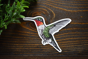 Ruby-Throated Hummingbird Sticker