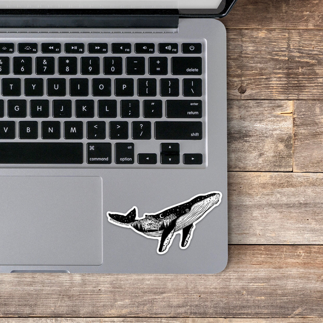 Humpback Whale Sticker