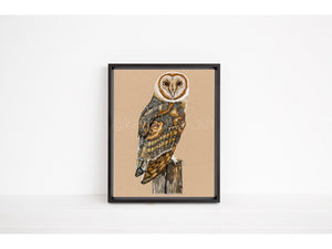 Barn Owl - Limited Edition Print
