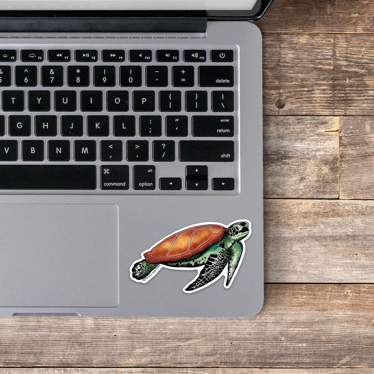 Sea Turtle Sticker