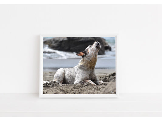 Howling Coast Dog Print