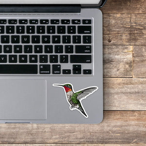 Ruby-Throated Hummingbird Sticker