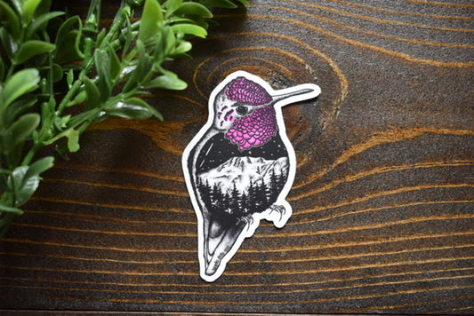 Wholesale Anna’s Hummingbird Sticker