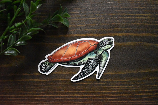 Sea Turtle Sticker